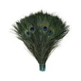 thumbnail image 1 of Zucker Feather Products Stem Dyed Peacock Tail Feathers with Full Eyes - Light Turquoise, 1 of 1