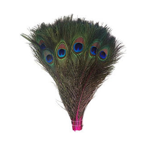 Zucker Feather Products Stem Dyed Peacock Tail Feathers with Full Eyes - Shocking Pink