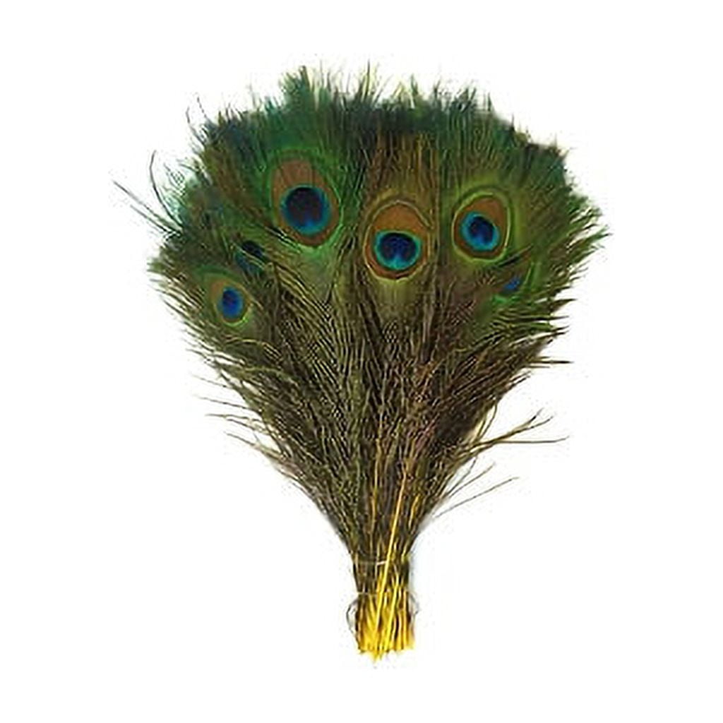 Peacock Feathers | 8-15 Tail Eyes | Fluorescent Yellow (Bulk)