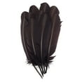thumbnail image 1 of Zucker Feather Products Turkey Quills Selected - Right Wing - 10-12" - Brown, 1 of 2