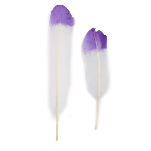 Zucker Feather Products Turkey Quills Tipped - 10-12" - 2 pcs - Violet/Regal