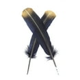 thumbnail image 1 of Zucker Feather Products Turkey Quills Tipped Metallic - 10-12" - 2 pcs - Black/Gold Lurex, 1 of 5
