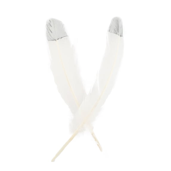 Turkey Quills 2/pkg-white Tip W/silver