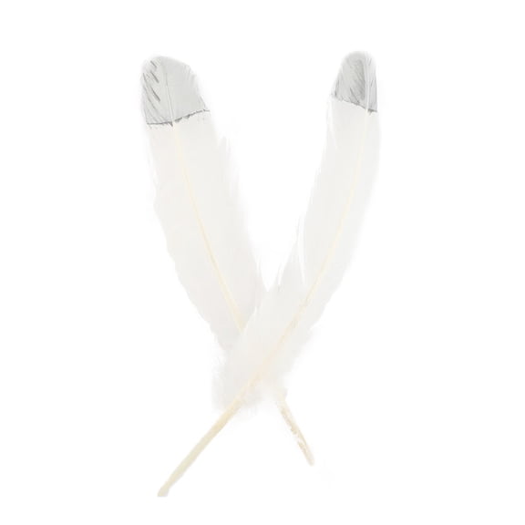 Turkey Quills 2/pkg-white Tip W/silver