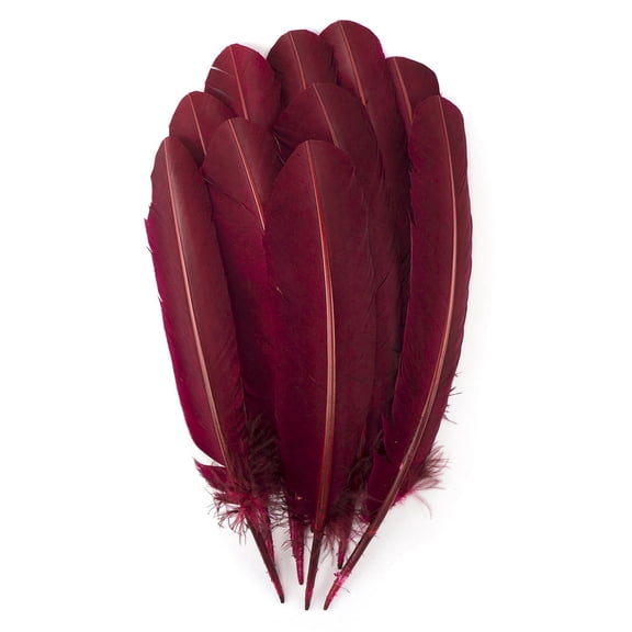 Zucker Feather Products Turkey Quills by Pound - Left Wing - 10-12" - Burgundy