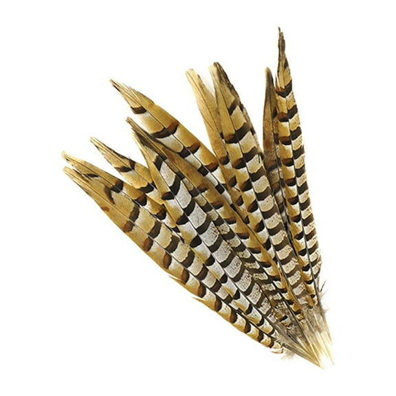 Zucker Feather Products Venery Pheasant Tails - Natural - 12-16" - 12 pcs - Natural