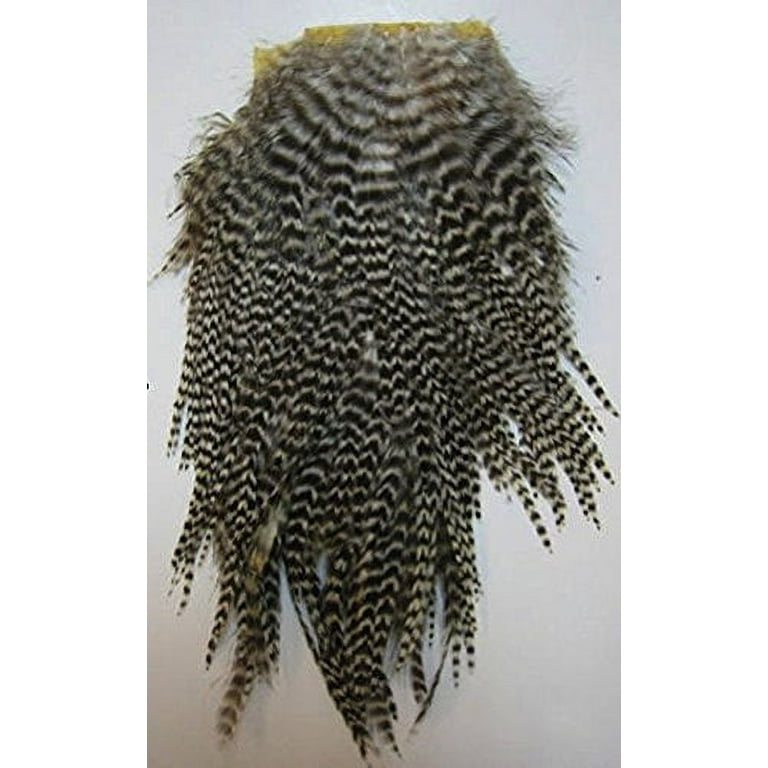 Zucker feathers outlet