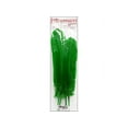 thumbnail image 1 of Zucker Feather Turkey Quills 10-14" 4pc Kelly, 1 of 3