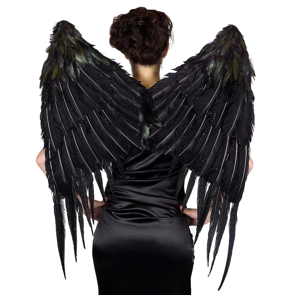 Zucker Lg Maleficent Inspired Feather Wings - 28" x 34" - Black