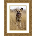 thumbnail image 1 of Zuckerman, Jim 11x14 Gold Ornate Wood Framed with Double Matting Museum Art Print Titled - Africa, Namibia Wild dog close-up, 1 of 4