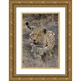 thumbnail image 1 of Zuckerman, Jim 11x14 Gold Ornate Wood Framed with Double Matting Museum Art Print Titled - South Africa, Crouching leopard, 1 of 4