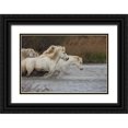 thumbnail image 1 of Zuckerman, Jim 14x11 Black Ornate Wood Framed with Double Matting Museum Art Print Titled - France, Provence White Camargue horses running, 1 of 4