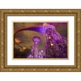 thumbnail image 1 of Zuckerman, Jim 14x11 Gold Ornate Wood Framed with Double Matting Museum Art Print Titled - Singapore Garden by the Sea towers at night, 1 of 4