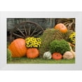 thumbnail image 1 of Zuckerman, Jim 14x11 White Modern Wood Framed Museum Art Print Titled - Tennessee, Townsend Halloween display, 1 of 4