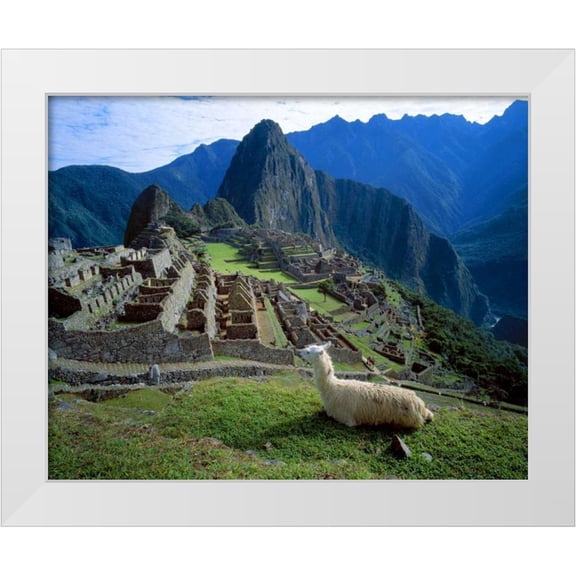 Zuckerman, Jim 14x12 White Modern Wood Framed Museum Art Print Titled - Peru A llama on a hill overlooking Machu Picchu