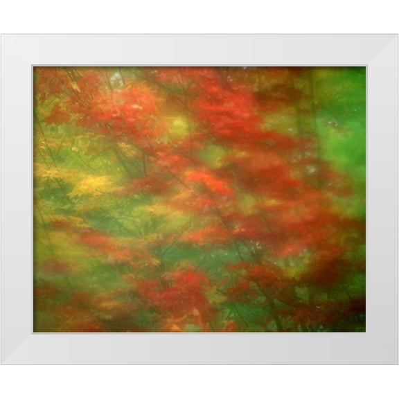 Zuckerman, Jim 14x12 White Modern Wood Framed Museum Art Print Titled - Vermont Abstract of maple trees