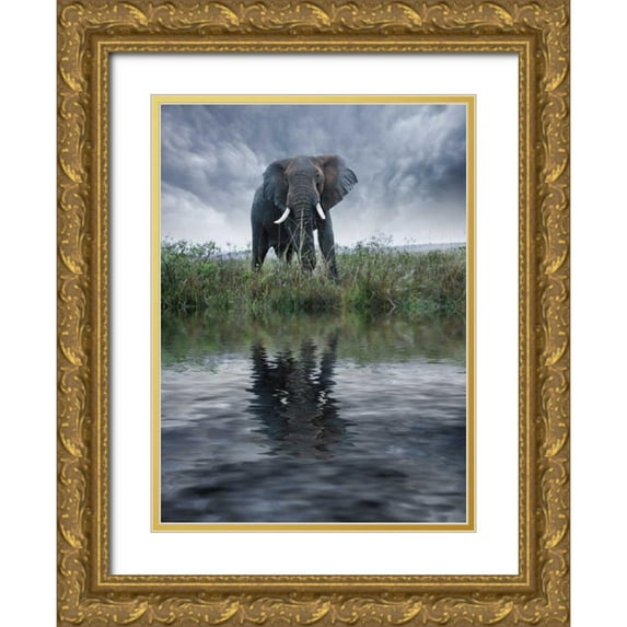 Zuckerman, Jim 14x18 Gold Ornate Wood Framed with Double Matting Museum Art Print Titled - Kenya, Masai Mara Elephant reflecting in water