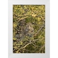 thumbnail image 1 of Zuckerman, Jim 23x32 White Modern Wood Framed Museum Art Print Titled - South Africa, Leopard cub hiding from hyenas, 1 of 4
