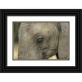 thumbnail image 1 of Zuckerman, Jim 32x23 Black Ornate Wood Framed with Double Matting Museum Art Print Titled - South Africa, Very rare blue-eyed elephant, 1 of 4
