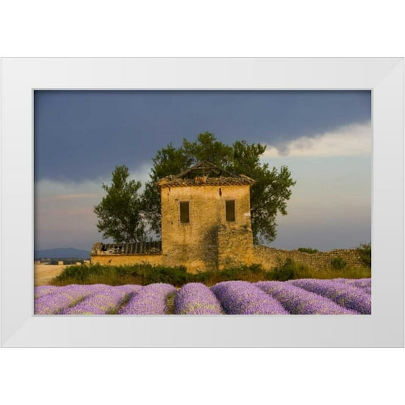 Zuckerman, Jim 32x23 White Modern Wood Framed Museum Art Print Titled - France, Provence Field of lavender and hut