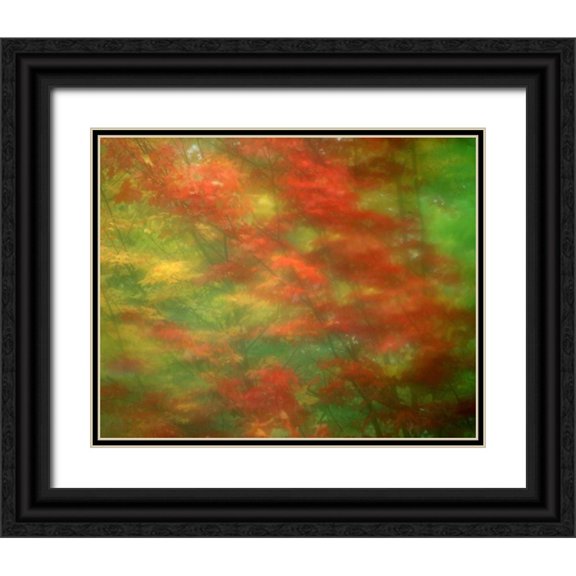 Zuckerman, Jim 32x26 Black Ornate Wood Framed with Double Matting Museum Art Print Titled - Vermont Abstract of maple trees