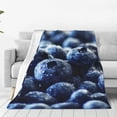 thumbnail image 1 of Zufioo Blueberry Fleece Blanket Queen Size,Plush Bed Blanket,Ultra Soft Throw Blanket,Plush Fuzzy Cozy Blanket Perfect for Bed,Couch-40"x30", 1 of 7