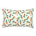 thumbnail image 1 of Zufioo Cute Carrot Print Double-sided Plush Pillow Cover,Decorative Pillow Protector without Pillow Core, Suitable for Sofa, Bedroom, Car-16"x24", 1 of 6