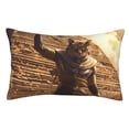 thumbnail image 1 of Zufioo Egyptian Cat Pharaoh Magic Print Double-Sided Throw Pillow Cover, Pillow Protector Home Decor - With Hidden Zipper, Suitable for Bedroom, Living Room, Car Interior-14"x20", 1 of 6