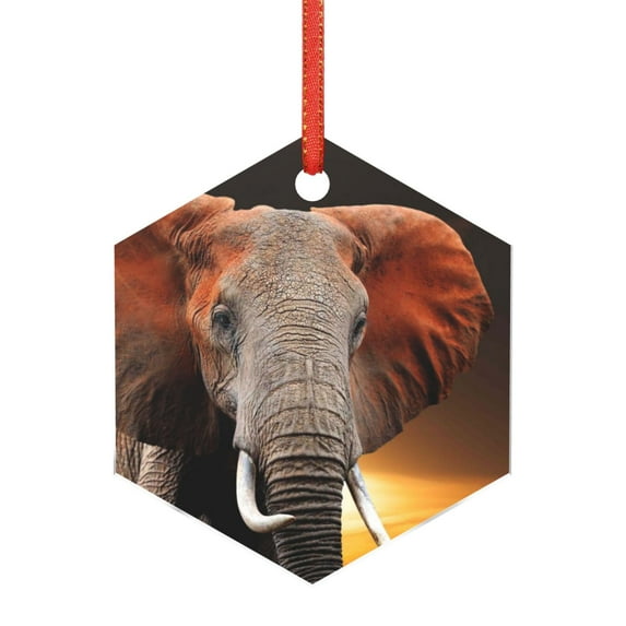 Zufioo Elephant Sunset in Kenya Print Large Acrylic Christmas Ornaments, Suitable for Christmas Tree Christmas Holiday Party Pendant Decorations-Hexagon