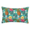 thumbnail image 1 of Zufioo Pineapple Print Double-sided Plush Pillow Cover,Decorative Pillow Protector without Pillow Core, Suitable for Sofa, Bedroom, Car-14"x20", 1 of 6