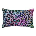 thumbnail image 1 of Zufioo Rainbow Animal Skin Print Double-sided Plush Pillow Cover,Decorative Pillow Protector without Pillow Core, Suitable for Sofa, Bedroom, Car-20"x30", 1 of 6