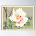 thumbnail image 1 of Zuigetsu Ikeda “Pink Camellia” Japanese Flower Art Poster Wall Art, Modern Wall Decor For Living Room Bedroom, 24x36 UNFRAMED, 1 of 3