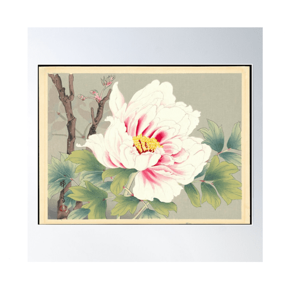 Zuigetsu Ikeda Pink Camellia Japanese Flower Art Poster Wall Art Modern Wall Decor For Living Room Bedroom