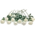 thumbnail image 1 of Zukuco 12 PCS Artificial Flowers Roses Silk Flowers Fake Long Stem Artificial Roses for Home(White), 1 of 6