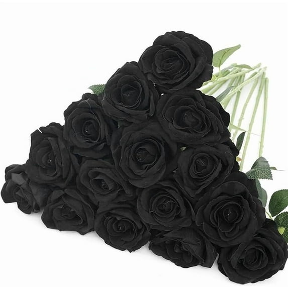 Zukuco 15pcs Champagne Roses Artificial Flowers Silk Flowers Realistic Roses Bouquet Long Stem for Wedding Home Party Birthday Decoration (Black)