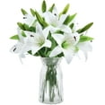 thumbnail image 1 of Zukuco 8Pcs Artificial Tiger Lily Flower Bouquet Fake Latex Lilies Flower Bulk for Home Table Wedding Indoor Outdoor Decor (White), 1 of 8