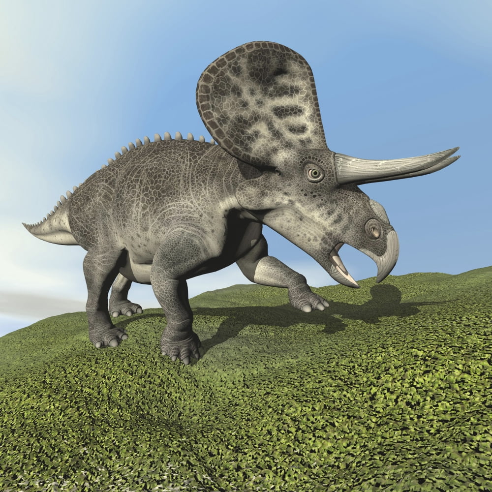 Zuniceratops dinosaur Canvas Art - Elena DuvernayStocktrek Images (29 x 29)