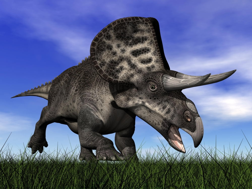 Zuniceratops dinosaur running in the grass Canvas Art - Elena DuvernayStocktrek Images (17 x 13)