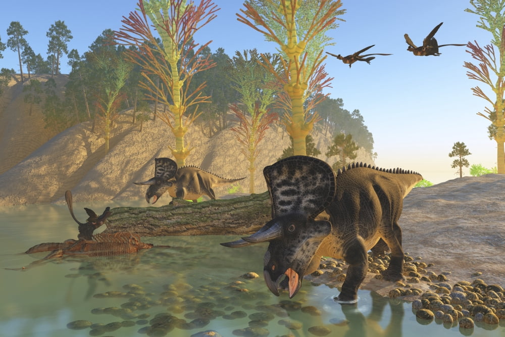 Zuniceratops dinosaurs drinking water from a river Canvas Art - Corey FordStocktrek Images (18 x 12)