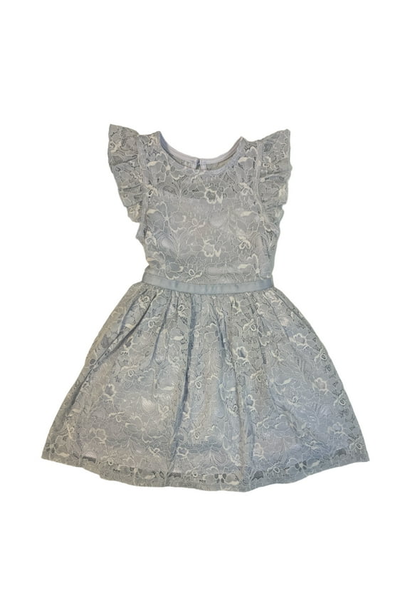 Girl Girl's All Occasion Flutter Sleeve Floral Lace Knee Length Dress (Periwinkle, 3T)
