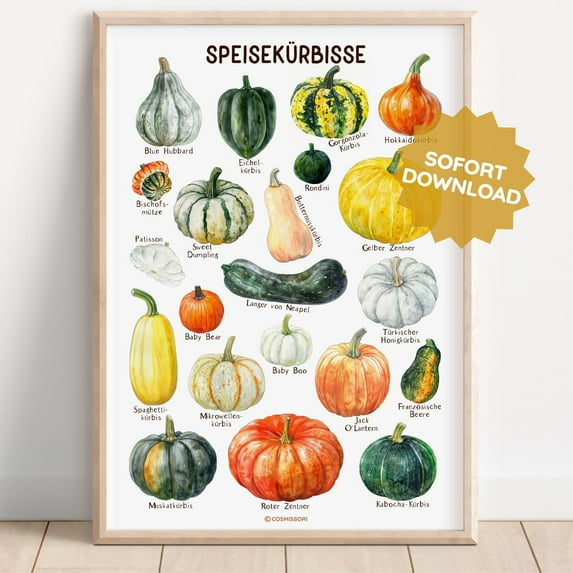 Zuno Poster Pumpkins Pumpkin Type Pumpkin Variety Wall Art Playroom Montessori Children Mural Decoration Infographic German- Wall Art Print, 12x18 UNFRAMED
