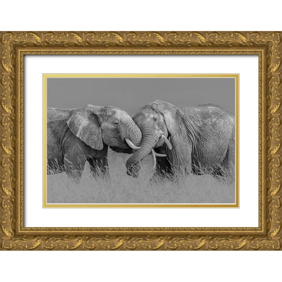 Zuo, Jun 24x17 Gold Ornate Wood Framed with Double Matting Museum Art Print Titled - Elephant Flight