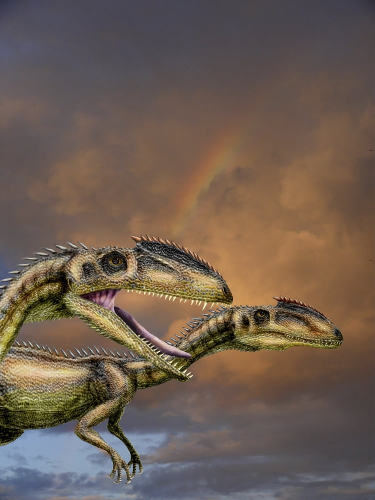 Zupaysaurus rougieri a theropod dinosaur of the Jurassic Period Canvas Art - Yuriy PriymakStocktrek Images (25 x 33)