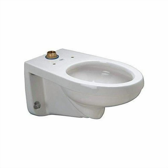 zurn wall mounted dual flush elongated toilet bowl