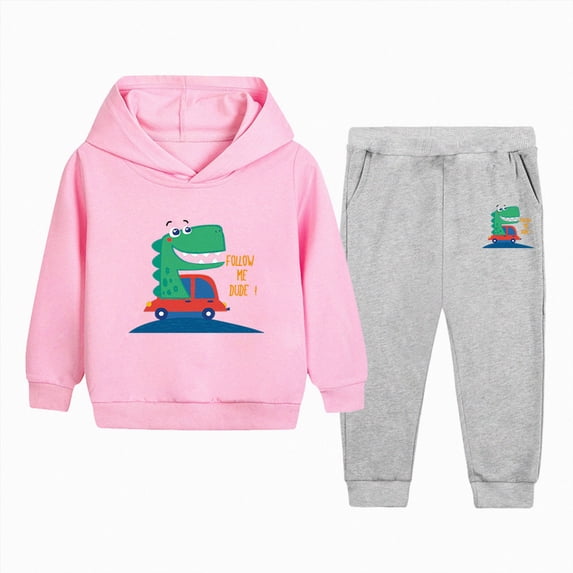 Zuwimk Toddler Boy And Girls Clothes Long Sleeve Hooded Pullover Graphic Print Sweatshirt + Pants 2pcs Fall Winter Outfit Set(T026-Pink)
