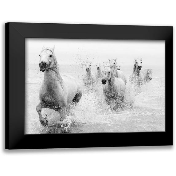 Zvelebil Phd, Marketa 24x17 Black Modern Framed Museum Art Print Titled - We Are Coming