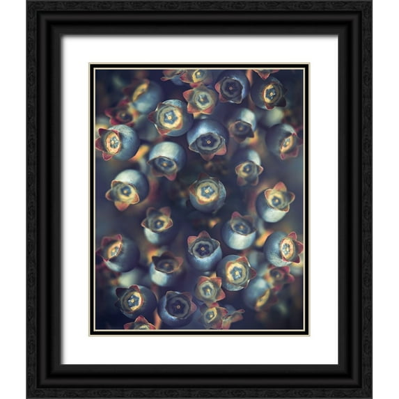 Zvinakeviciute, Kristina 12x14 Black Ornate Wood Framed with Double Matting Museum Art Print Titled - Blueberries