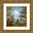 thumbnail image 1 of Zwick, Martin 12x12 Gold Ornate Wood Framed with Double Matting Museum Art Print Titled - Mountain forest with European Larch-Larix decidua-in the dolomites of South Tyrol-Alto Adige in the, 1 of 4