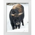 thumbnail image 1 of Zwick, Martin 12x14 White Modern Wood Framed Museum Art Print Titled - Heck Cattle -an attempt to breed back the extinct Aurochs from domestic cattle Germany-Bavaria, 1 of 4