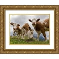 thumbnail image 1 of Zwick, Martin 14x12 Gold Ornate Wood Framed with Double Matting Museum Art Print Titled - Cows on alpine pasture Dolomites at Passo Giau Italy, 1 of 4